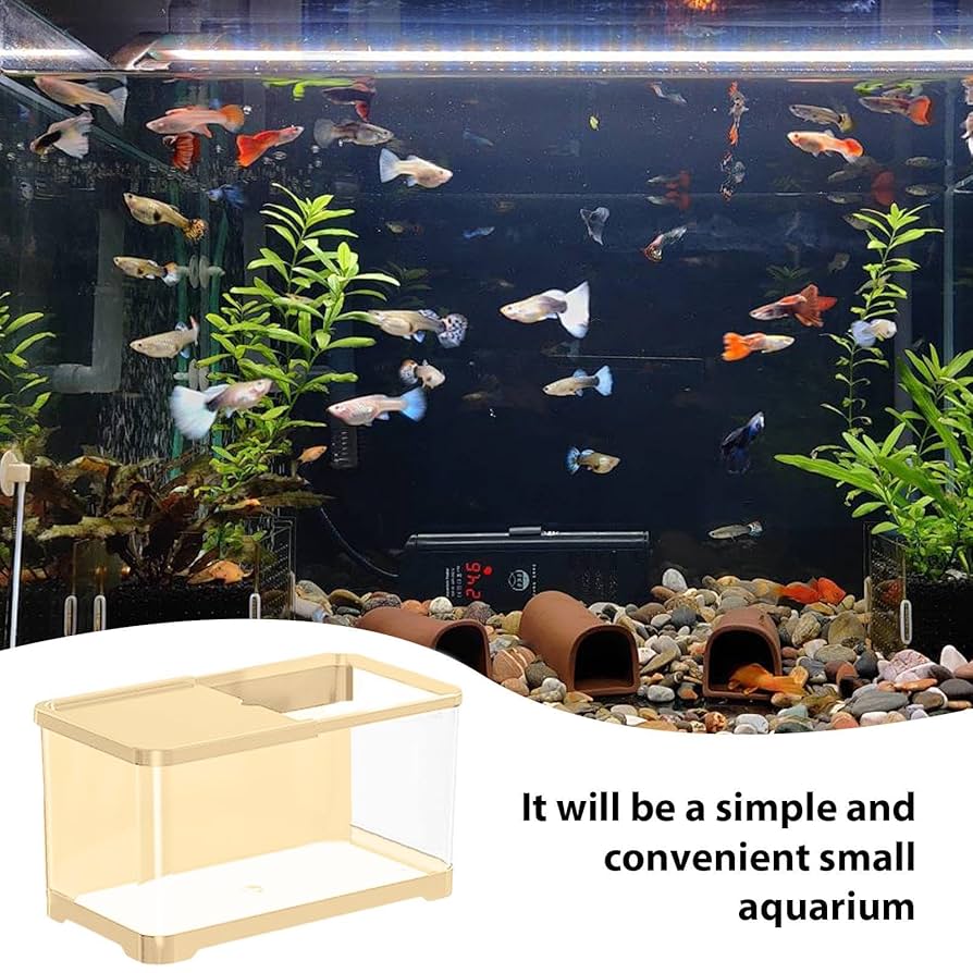 【スターターセット】アクアリウム　水槽セット Amazon | 水槽 アクアリウム スターターキット 一体型水槽セット